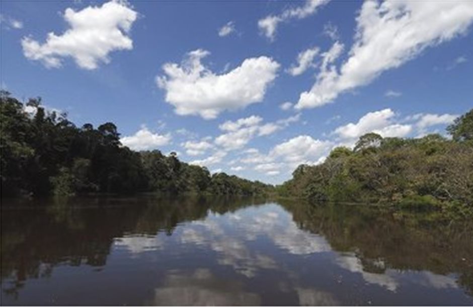 Το 17% του δάσους του Αμαζονίου έχει αποψιλωθεί μέσα σε 50 χρόνια  